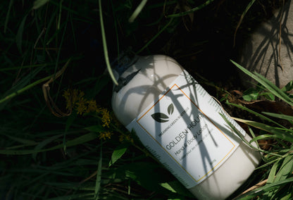 Golden Hour Hand & Body Lotion